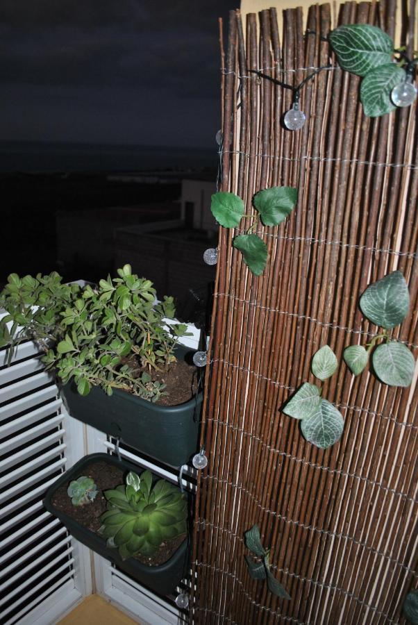 Appartement Discover The North Of The Island Of Tenerife *